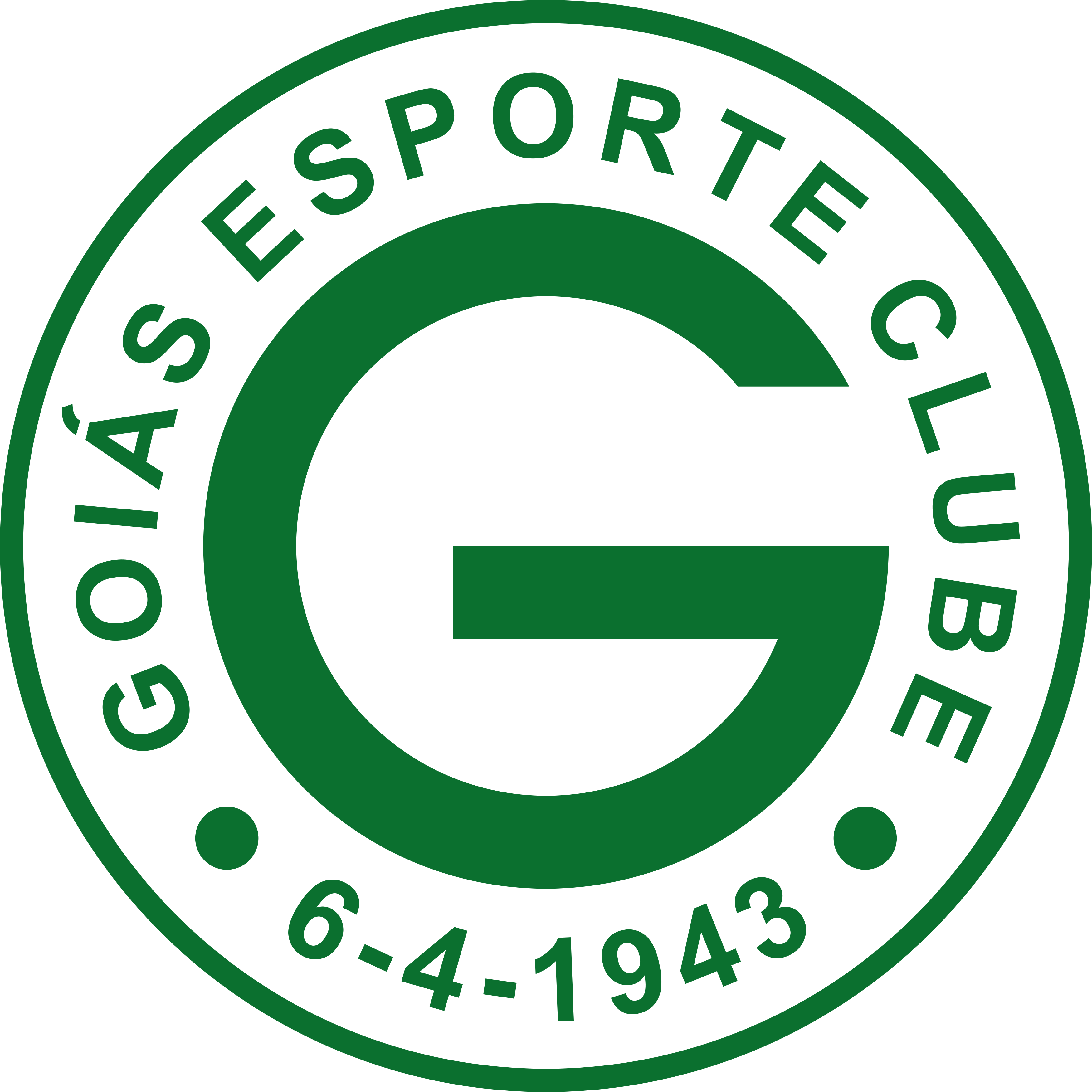 Treinador do Goiás Esporte Clube
